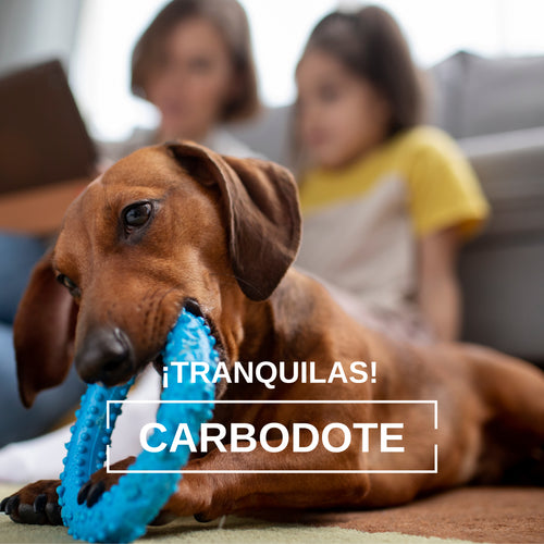 Carbodote Prime:  Tu aliado ante emergencias