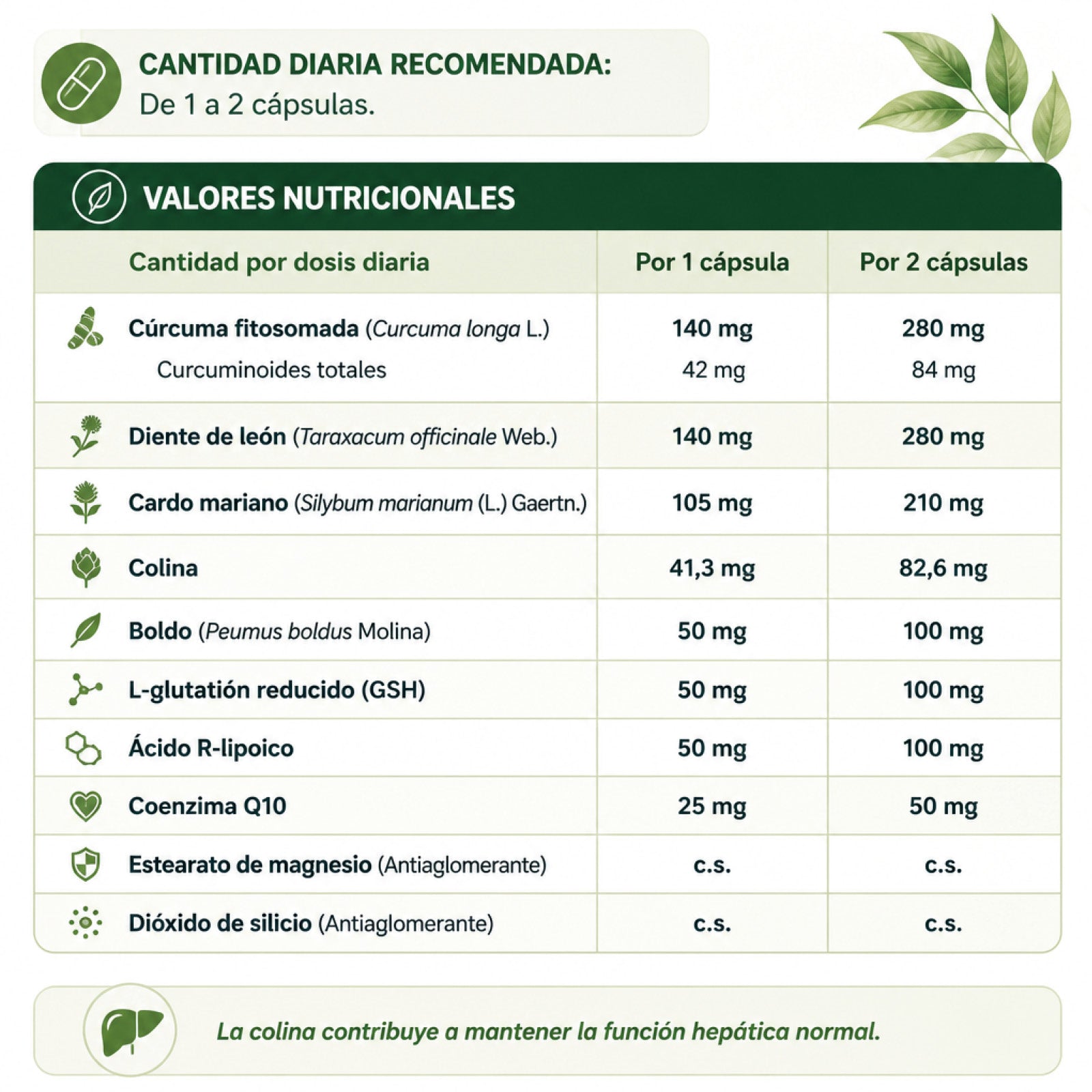 HoloRam Hepatoprotector