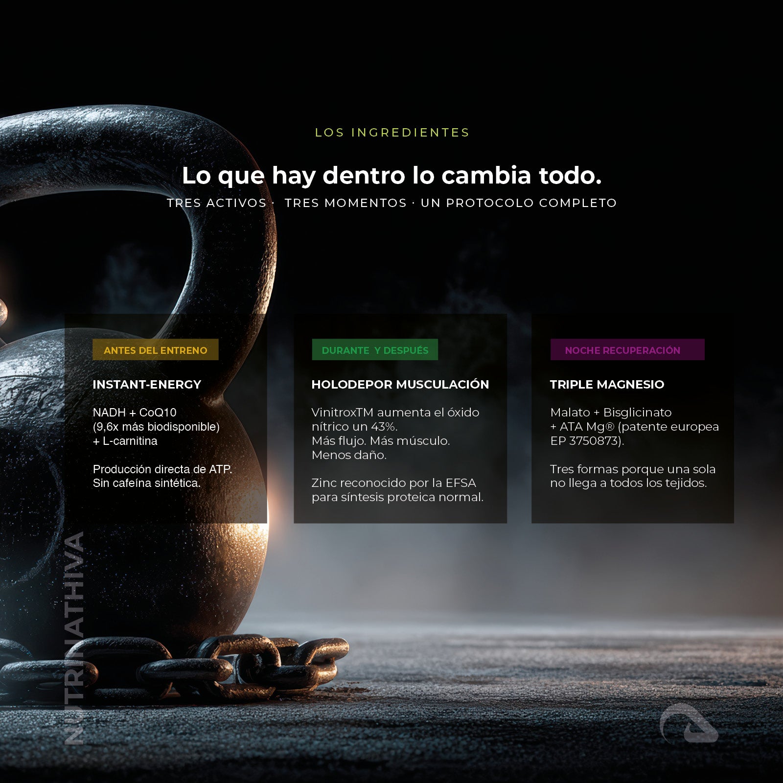 Protocolo Rendimiento Real